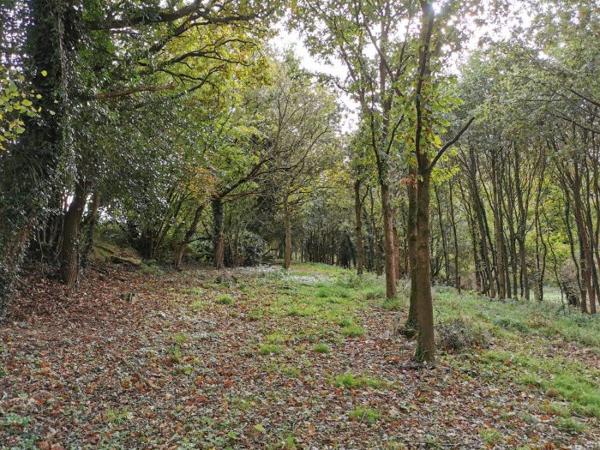 Maison La Méaugon 119 m²