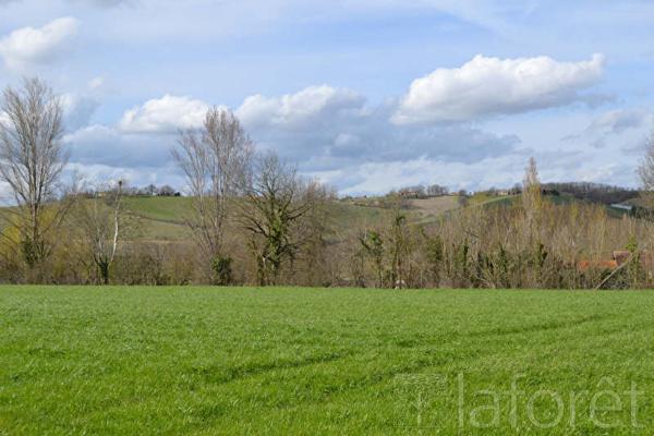 Achat terrain Beauvais-sur-Tescou - 1035 m² - 41 000 €