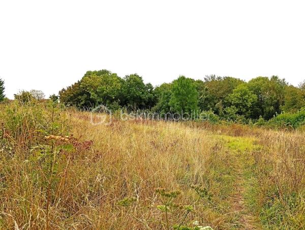 Terrain de loisirs de 2 729 m²