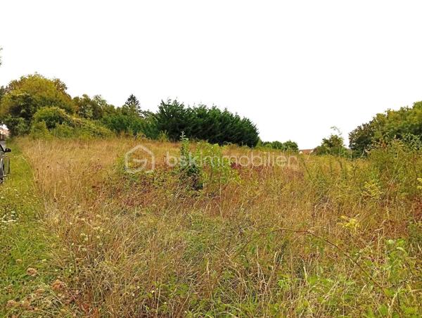 Terrain de loisirs de 2 729 m²