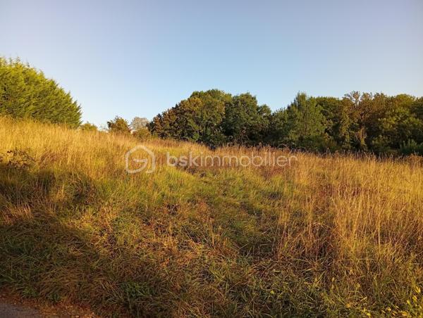 Terrain de loisirs de 2 729 m²