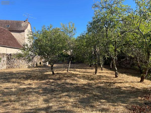 Achat - Propriété | Propriété Assier 46320 13 pièces 330 m 2 1210 m 2