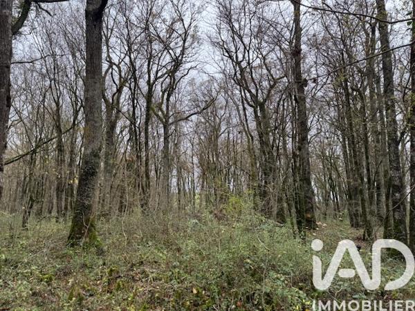 Terrain à vendre 133 671 m² Charenton-du-Cher