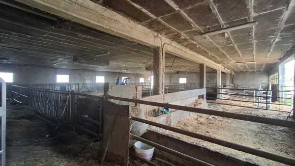 Grange de 304m2 avec hangar 484m2 et terrain de 2500m2 97 000 €