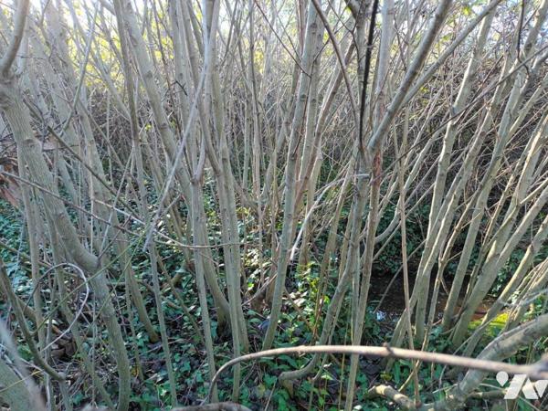 Maison d'habitation sur deux niveaux avec dépendances