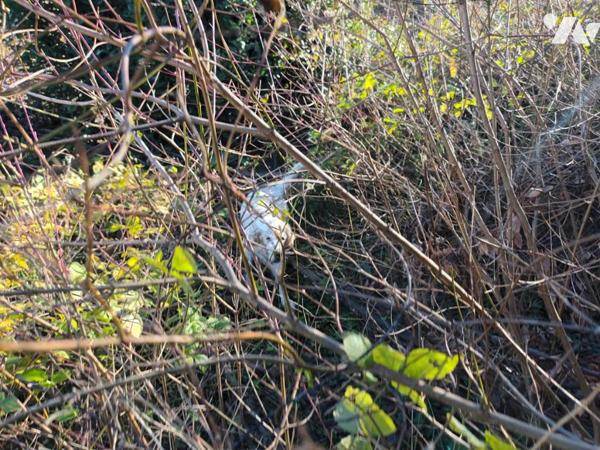 Maison d'habitation sur deux niveaux avec dépendances