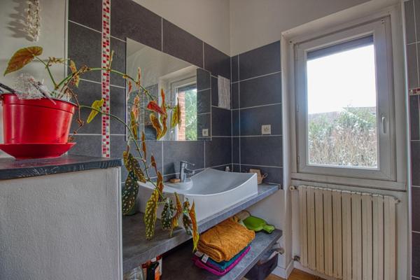 Maison albigeoise atypique 154m2 aves terrasse et jardin intimiste