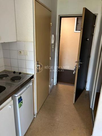 Appartement à louer à Lyon (69007)