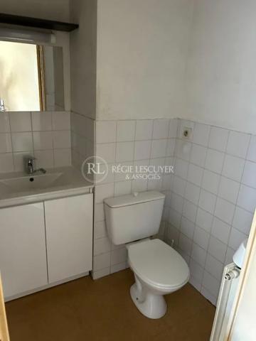Appartement à louer à Lyon (69007)