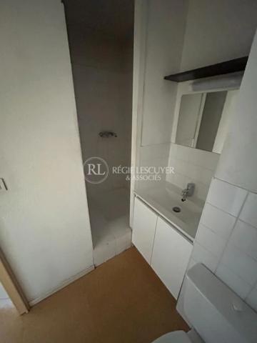 Appartement à louer à Lyon (69007)