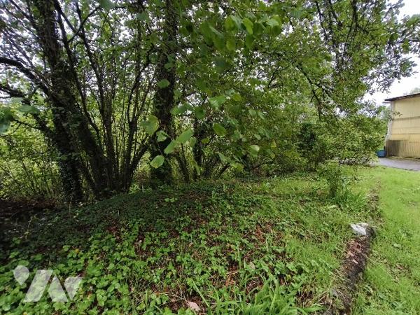 Maison avec jardin sans vis à vis