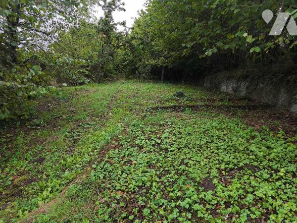 Maison avec jardin sans vis à vis