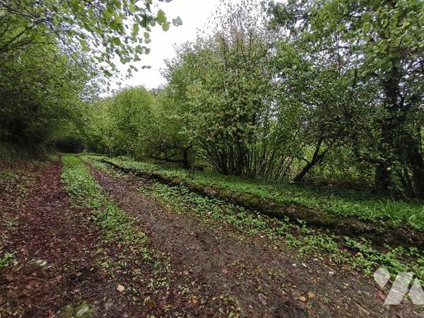 Maison avec jardin sans vis à vis