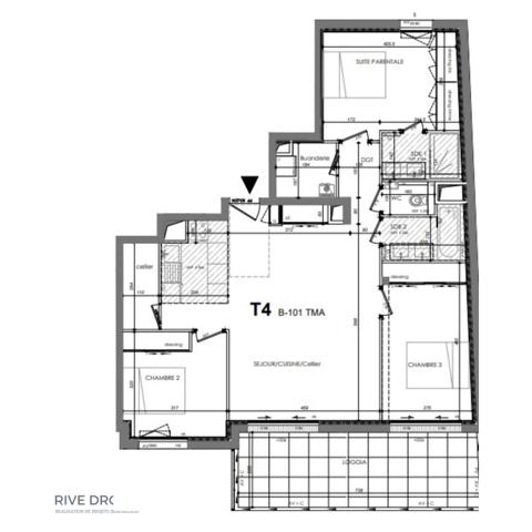 Rennes (35000) RENNES THABOR - EXCEPTIONNEL - Appartement T4 terrasse