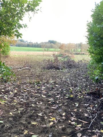 Ensemble de 4 parcelles en partie boisées