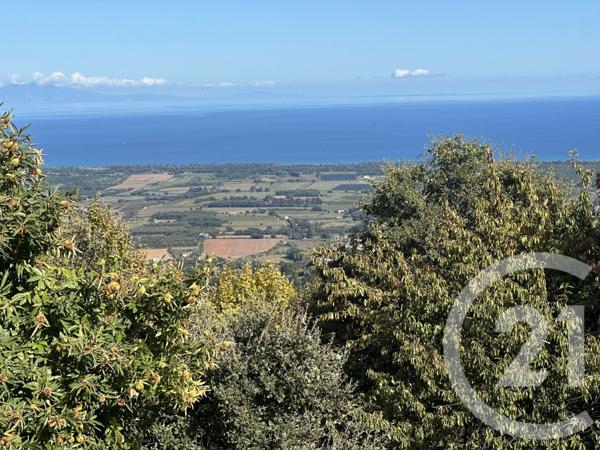 Terrain à vendre  3000 m2 PENTA DI CASINCA - 202
