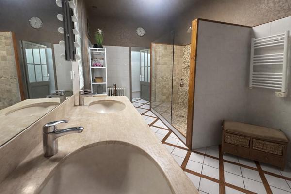 Maison en pierre de caractère - 324 m2 - Colayrac St Cirq