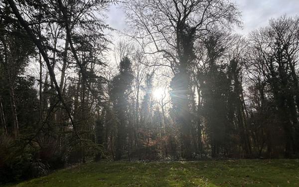 Maison à vendre    4 pièces •  Mer