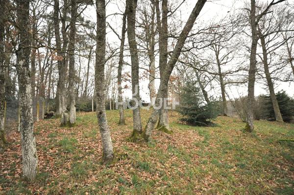 Maison de 197 m² à Saint Martin en Haut