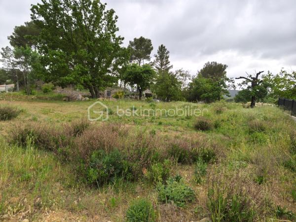 Terrain de 1 016 m²