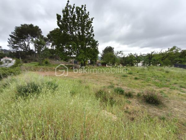 Terrain de 1 016 m²