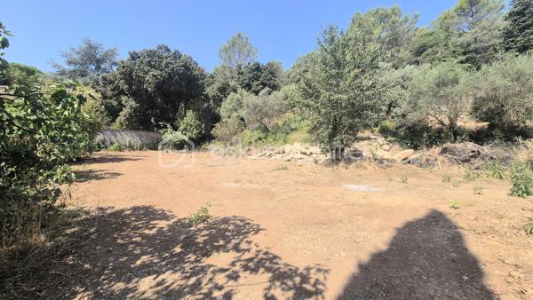 Magnifique terrain plat de 1000 m² offrant une emprise au sol de 30%.
Idéalement situé à proximité de toutes commodités (axes de circulation, gare sncf, écoles et commerces)
Situé en impasse au calme absolu dans un secteur résidentiel, il permet la construction d'une seule habitation.
Présence du tout à l'égout et d'un forage.