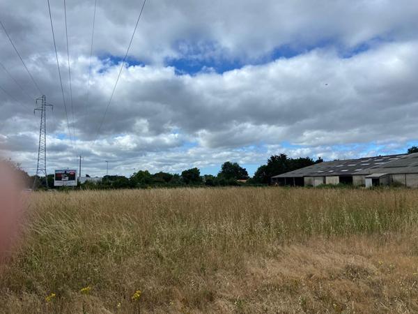 Terrain Challans 1950 m2