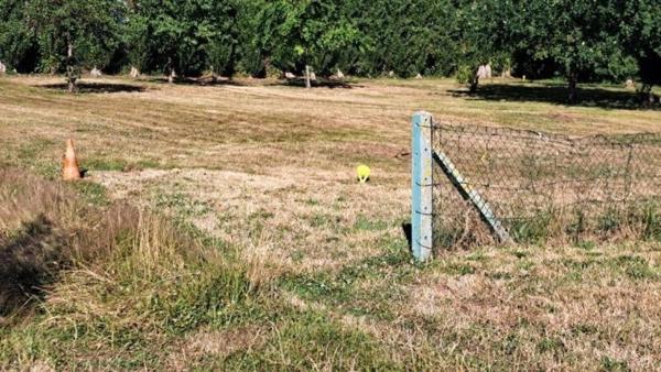 Belle opportunité!!!