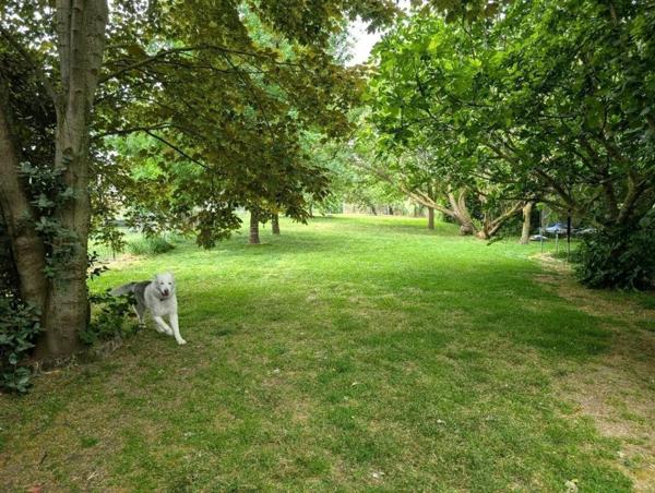 MAISON de 160 m2 sur sous sol avec beau jardin arboré.