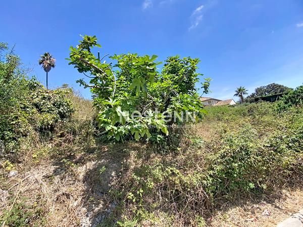TERRAIN  AVEC PC 1669m2 - VALLAURIS-LES IMPINIERS -CONSTRUCTIBLE-PISCINABLE