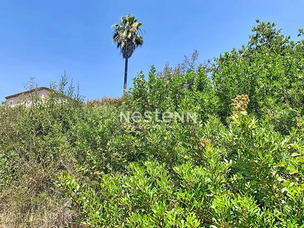 TERRAIN  AVEC PC 1669m2 - VALLAURIS-LES IMPINIERS -CONSTRUCTIBLE-PISCINABLE