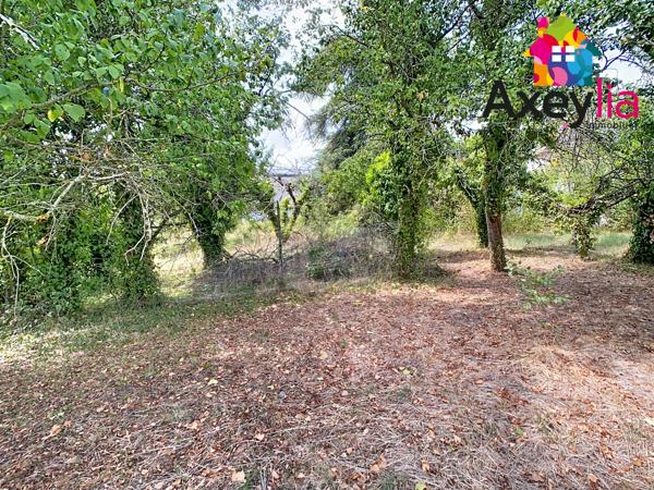 A VENDRE- PANISSIERES-PARCELLE DE TERRAIN A BATIR