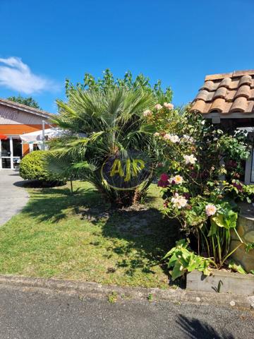 Hourtin : 259 000 € - AJP Hourtin Immobilier