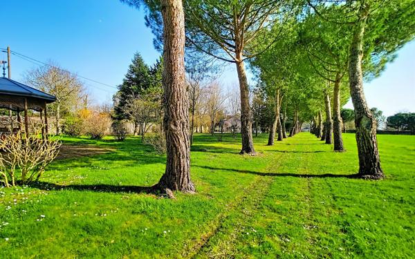 Maison à vendre    4 pièces • 130 m2 Angers