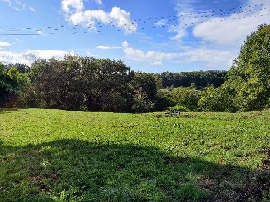 Terrain 5840 m² SAILLAC - 19500