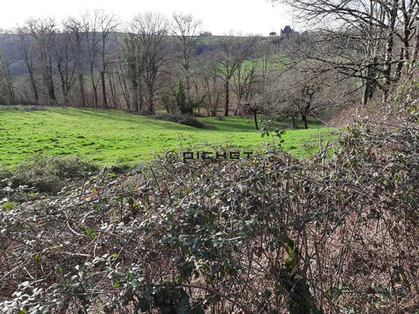 Terrain 5840 m² SAILLAC - 19500