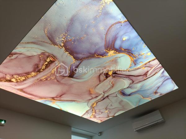 Local commercial de 226,53 m²