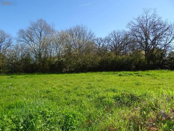 Achat - Maison | Maison à restaurer Leignes-sur-Fontaine 86300 4 pièces 80 m 2 1149 m 2