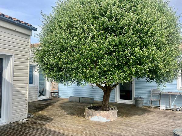 Maison Bourcefranc Le Chapus 11 pièce(s) 300 m2