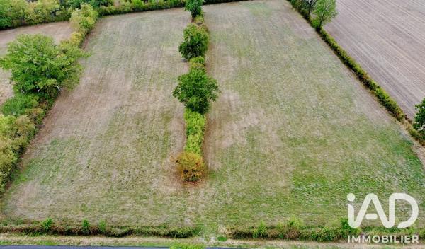 Terrain à vendre 31 145 m² Morlac