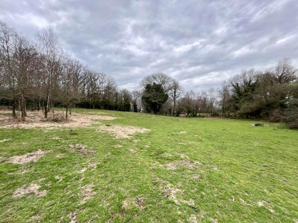 Maison à vendre |  Montrol-Sénard |  3 pièces | 78 m²