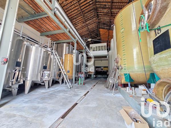 Maison 10 pièces de 576 m² à Saint-Paul-de-Fenouillet (66220)