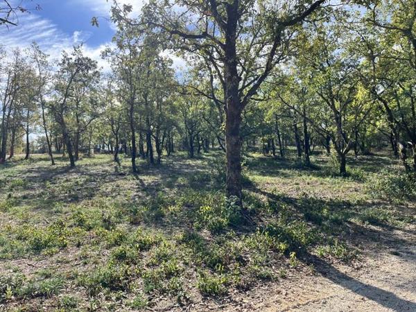 Terrain à vendre |  Lalbenque |  1069 m²