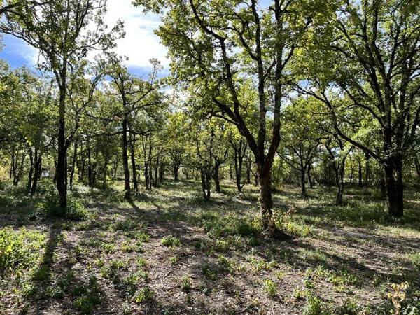 Terrain à vendre |  Lalbenque |  1069 m²