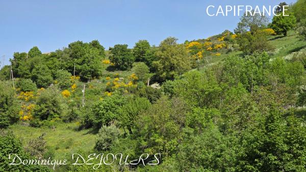Nichée au cœur de la nature, sans vis-à-vis et avec une vue remarquable, grande maison de 7 (voir 8) chambres et de belles terrasses, offre un cadre de vie paisible et ressourçant.