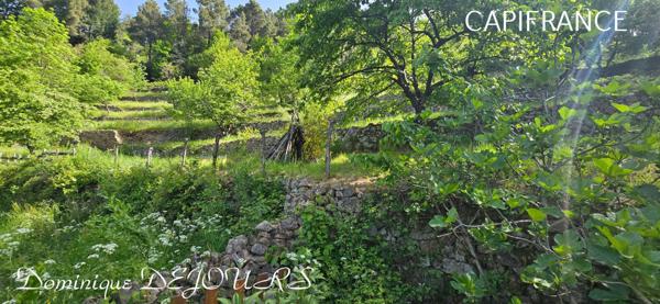 Nichée au cœur de la nature, sans vis-à-vis et avec une vue remarquable, grande maison de 7 (voir 8) chambres et de belles terrasses, offre un cadre de vie paisible et ressourçant.