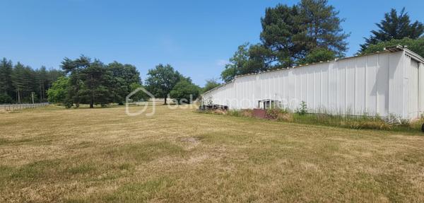 Vous recherchez un espace de nature parfaitement entretenu pour vos loisirs, vos animaux ou simplement pour profiter d'un cadre agréable en toute tranquillité ? Découvrez ce magnifique terrain de loisirs de 3733 m², bénéficiant d'un emplacement privilégié, facilement accessible à proximité immédiate de la départementale.

Entièrement plat, clos, particulièrement propre et remarquablement entretenu, ce terrain séduira dès la première visite par la qualité de son entretien et son excellent état général. Aucun encombrement, aucun travaux à prévoir : tout est prêt pour profiter pleinement des lieux.

La propriété dispose déjà d'une alimentation en eau ainsi que d'un système d'arrosage automatique, offrant un véritable confort d'utilisation au quotidien.

Vous y trouverez une dépendance d'environ 18 m² ainsi qu'un vaste hangar développant près de 80 m² au total, réparti en deux espaces distincts d'environ 56 m² et 22 m², chacun bénéficiant de sa propre entrée indépendante. Une configuration particulièrement pratique permettant de séparer les usages, de stocker différents matériels ou d'aménager plusieurs espaces selon vos besoins.

Les surfaces situées sous les hangars sont entièrement bétonnées, garantissant des espaces propres, sains et fonctionnels. Les hangars sont également équipés de l'électricité et disposent de leurs propres tableaux électriques, constituant un véritable atout pour le stockage, le bricolage, l'entretien de matériel, l'accueil de véhicules, de remorques ou toute autre activité nécessitant une alimentation électrique.

Les passionnés d'animaux, et notamment de chevaux, apprécieront particulièrement ce terrain dont la configuration se prête parfaitement à leur accueil grâce à ses espaces dégagés, son accès à l'eau, ses infrastructures existantes et ses nombreux espaces de rangement.

Pour les moments de détente et de convivialité, vous profiterez également d'un agréable terrain de pétanque, idéal pour partager de bons moments en famille ou entre amis dans un cadre verdoyant et paisible.

Rare sur le secteur, cette propriété de loisirs allie accessibilité, fonctionnalité, équipements, propreté irréprochable et potentiel. Que vous recherchiez un terrain pour chevaux, un espace de stockage sécurisé, un lieu de détente ou un terrain de loisirs prêt à l'emploi, ce bien saura répondre à vos attentes.

📞 Une opportunité rare à découvrir sans tarder !Contactez-moi dès aujourd'hui pour obtenir davantage d'informations et organiser une visite de ce terrain unique de 3 733 m² où tout a été pensé pour allier praticité, confort et qualité d'entretien.