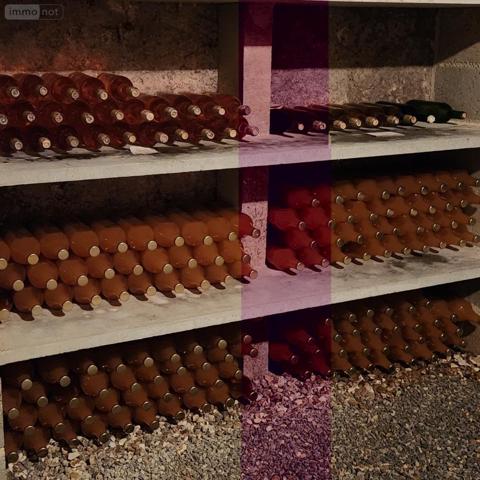 Maison à vendre à Ceton dans l'Orne (61260), ref : 72085-2153