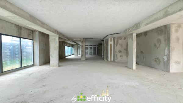 Local Commercial 1 pièce - 250 m²