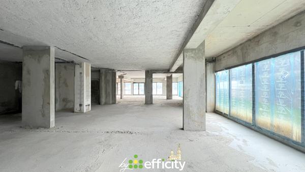 Local Commercial 1 pièce - 250 m²